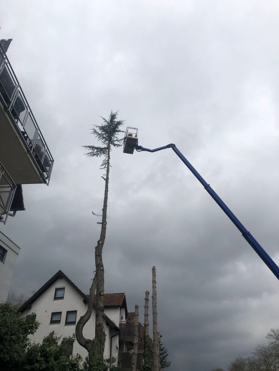 Bild Hubarbeitsbühne