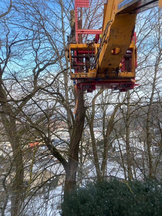Teleskoplader und Arbeitskorb